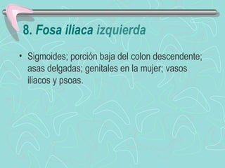 8. Fosa iliaca izquierda
• Sigmoides; porción baja del colon descendente;
  asas delgadas; genitales en la mujer; vasos
  iliacos y psoas.
 