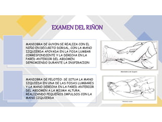 Semiología de toda la pared abdominal. | PPTX