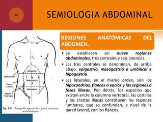 SEMIOLOGIA ABDOMINAL26