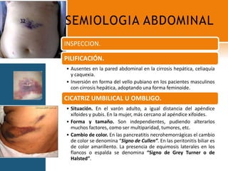 SEMIOLOGIA ABDOMINAL32