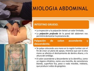 SEMIOLOGIA ABDOMINAL89