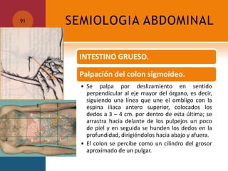 SEMIOLOGIA ABDOMINAL91