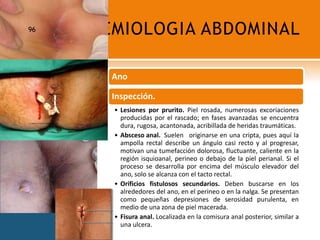 SEMIOLOGIA ABDOMINAL96