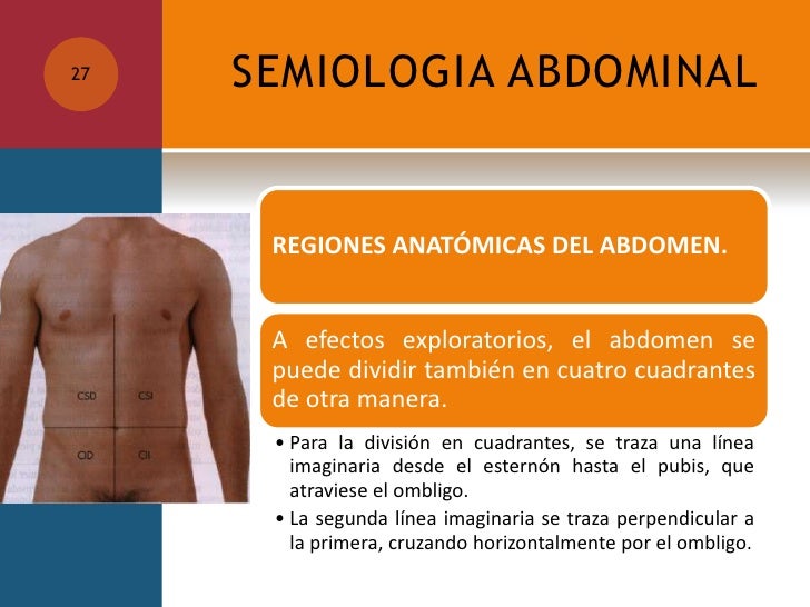 Semiologia Abdominal