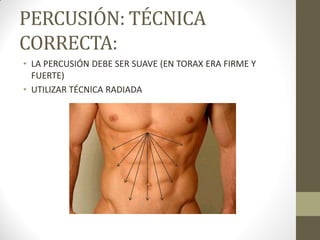 PERCUSIÓN: TÉCNICA
CORRECTA:
• LA PERCUSIÓN DEBE SER SUAVE (EN TORAX ERA FIRME Y
FUERTE)
• UTILIZAR TÉCNICA RADIADA
 