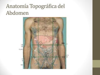 Anatomía Topográfica del
Abdomen
 