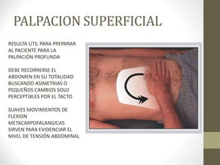 PALPACION SUPERFICIAL
RESULTA UTIL PARA PREPARAR
AL PACIENTE PARA LA
PALPACIÓN PROFUNDA
DEBE RECORRERSE EL
ABDOMEN EN SU TOTALIDAD
BUSCANDO ASIMETRIAS O
PEQUEÑOS CAMBIOS SOLO
PERCEPTIBLES POR EL TACTO
SUAVES MOVIMIENTOS DE
FLEXION
METACARPOFALANGICAS
SIRVEN PARA EVIDENCIAR EL
NIVEL DE TENSIÓN ABDOMINAL
 