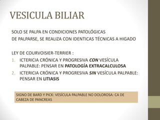 VESICULA BILIAR
SOLO SE PALPA EN CONDICIONES PATOLÓGICAS
DE PALPARSE, SE REALIZA CON IDENTICAS TÉCNICAS A HIGADO
LEY DE COURVOISIER-TERRIER :
1. ICTERICIA CRÓNICA Y PROGRESIVA CON VESÍCULA
PALPABLE: PENSAR EN PATOLOGÍA EXTRACALCULOSA
2. ICTERICIA CRÓNICA Y PROGRESIVA SIN VESÍCULA PALPABLE:
PENSAR EN LITIASIS
SIGNO DE BARD Y PICK: VESÍCULA PALPABLE NO DOLOROSA: CA DE
CABEZA DE PANCREAS
 