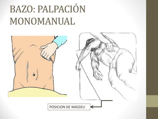 BAZO: PALPACIÓN
MONOMANUAL
POSICION DE NAEGELI
 