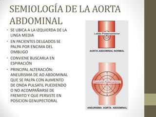 SEMIOLOGÍA DE LA AORTA
ABDOMINAL
• SE UBICA A LA IZQUIERDA DE LA
LINEA MEDIA
• EN PACIENTES DELGADOS SE
PALPA POR ENCIMA DEL
OMBLIGO
• CONVIENE BUSCARLA EN
ESPIRACIÓN
• PRINCIPAL ALTERACIÓN:
ANEURISMA DE AO ABDOMINAL
QUE SE PALPA CON AUMENTO
DE ONDA PULSATIL PUEDIENDO
O NO ACOMPAÑARSE DE
FREMITO Y QUE PERSISTE EN
POSICION GENUPECTORAL
 