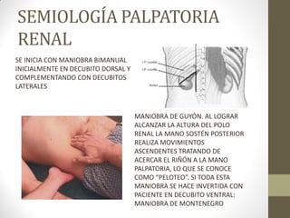 SEMIOLOGÍA PALPATORIA
RENAL
SE INICIA CON MANIOBRA BIMANUAL
INICIALMENTE EN DECUBITO DORSAL Y
COMPLEMENTANDO CON DECUBITOS
LATERALES
MANIOBRA DE GUYÓN. AL LOGRAR
ALCANZAR LA ALTURA DEL POLO
RENAL LA MANO SOSTÉN POSTERIOR
REALIZA MOVIMIENTOS
ASCENDENTES TRATANDO DE
ACERCAR EL RIÑÓN A LA MANO
PALPATORIA, LO QUE SE CONOCE
COMO “PELOTEO”. SI TODA ESTA
MANIOBRA SE HACE INVERTIDA CON
PACIENTE EN DECUBITO VENTRAL:
MANIOBRA DE MONTENEGRO
 