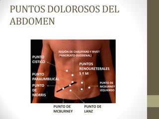 PUNTOS DOLOROSOS DEL
ABDOMEN
PUNTO
CISTICO
REGIÓN DE CHAUFFARD Y RIVET
(PANCREATO-DUODENAL)
PUNTO
PARAUMBILICAL
PUNTO
DE
MORRIS
PUNTO DE
MCBURNEY
PUNTO DE
LANZ
PUNTOS
RENOURETERALES
S Y M
PUNTO DE
MCBURNEY
IZQUIERDO
 