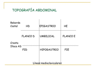 TOPOGRAFÍA ABDOMINAL
Reborde
Costal HD EPIGASTRIO HE
FLANCO D UMBILICAL FLANCO E
Cresta
Ilíaca AS
FID HIPOGASTRIO FIE
Líneas medioclaviculares
 