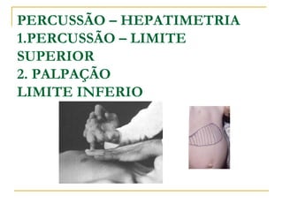 PERCUSSÃO – HEPATIMETRIA
1.PERCUSSÃO – LIMITE
SUPERIOR
2. PALPAÇÃO
LIMITE INFERIO
 