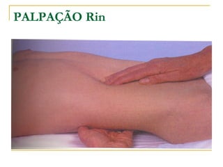 PALPAÇÃO Rin
 