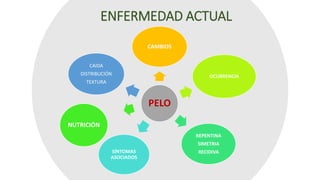 ENFERMEDAD ACTUAL
PELO
CAMBIOS
OCURRENCIA
NUTRICIÓN
REPENTINA
SIMETRIA
RECIDIVASÍNTOMAS
ASOCIADOS
CAIDA
DISTRIBUCIÓN
TEXTURA
 