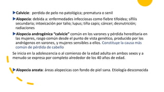 Calvicie: perdida de pelo no patológica; prematura o senil
Alopecia: debida a: enfermedades infecciosas como fiebre tifoidea; sífilis
secundaria; intoxicación por talio; lupus; tiña capis; cáncer; desnutrición;
radiaciones
Alopecia androgénica “calvicie” común en los varones y pérdida hereditaria en
las mujeres, rasgo común desde el punto de vista genético, producido por los
andrógenos en varones, y mujeres sensibles a ellos. Constituye la causa más
común de pérdida de cabello
Se inicia en la adolescencia o al comienzo de la edad adulta en ambos sexos y a
menudo se expresa por completo alrededor de los 40 años de edad.
Alopecia areata: áreas alopecicas con fondo de piel sana. Etiología desconocida
 