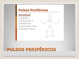 PULSOS PERIFÉRICOSPULSOS PERIFÉRICOS
 