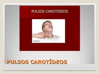 PULSOS CAROTÍDEOSPULSOS CAROTÍDEOS
 