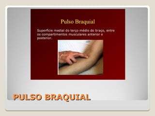 PULSO BRAQUIALPULSO BRAQUIAL
 