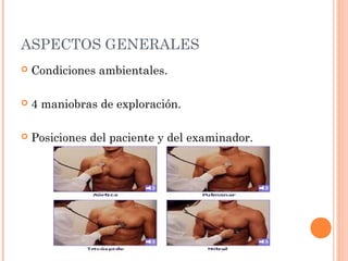 ASPECTOS GENERALES
 Condiciones ambientales.
 4 maniobras de exploración.
 Posiciones del paciente y del examinador.
 