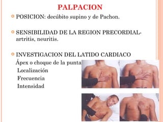 PALPACION
 POSICION: decúbito supino y de Pachon.
 SENSIBILIDAD DE LA REGION PRECORDIAL-
artritis, neuritis.
 INVESTIGACION DEL LATIDO CARDIACO
Ápex o choque de la punta
Localización
Frecuencia
Intensidad
 