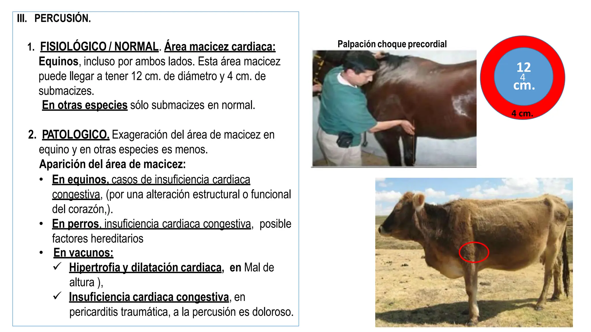 SEMIOLOGIA Clase 13 Exploracion clínico Sistema cardiovascular- Mal de