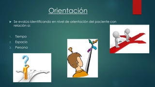 Orientación 
 Se evalúa identificando en nivel de orientación del paciente con 
relación a: 
1. Tiempo 
2. Espacio 
3. Persona 
 