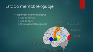 Estado mental: lenguaje 
 Significado anatomofisiológico 
 Área de Wernicke 
 Área de Broca 
 Giro angular del lóbulo parietal 
 