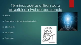 Términos que se utilizan para 
describir el nivel de conciencia 
 Alerta 
 Consciente vigil o totalmente despierto 
 Obnubilado 
 Estupuroso 
 Comatoso 
 