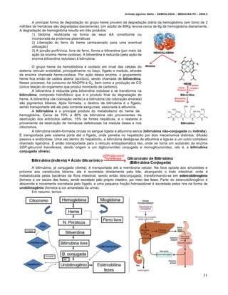 Arlindo Ugulino Netto – SEMIOLOGIA – MEDICINA P5 – 2009.2


       A principal forma de degradação do grupo heme provém da degradação diária da hemoglobina (em torno de 2
milhões de hemácias são degradadas diariamente). Um adulto de 80Kg renova cerca de 6g de hemoglobina diariamente.
A degradação de hemoglobina resulta em três produtos:
       1) Globina: reutilizada na forma de seus AA constituinte ou
       incorporada às proteínas plasmáticas
       2) Liberação do ferro do heme (armazenado para uma eventual
       utilização)
       3) A porção porfirínica, livre de ferro, forma a biliverdina (por meio da
       ação da enzima Heme oxidase). A biliverdina é reduzida (pela ação da
       enzima biliverdina redutase) à bilirrubina.

        O grupo heme da hemoblobina é oxidado em nível das células do
sistema retículo endotelial, principalmente no baço, fígado e medula, através
da enzima chamada heme-oxidase. Por ação dessa enzima, o grupamento
heme fica então de cadeia aberta (acíclico), sendo chamada de biliverdina.
Nesse processo, há consumo de NADPH e O2, bem como a produção de CO
(única reação do organismo que produz monóxido de carbono).
        A biliverdina é reduzida pela biliverdina redutase e se transforma na
bilirrubina, composto hidrofóbico que é o produto final da degradação do
heme. A biliverdina (de coloração verde) e a bilirrubina (de coloração amarela)
são pigmentos biliares. Após formada, o destino da bilirrubina é o fígado,
sendo transportada até ele pela corrente sanguínea, associada à albumina.
        A bilirrubina é o principal produto do metabolismo do heme da
hemoglobina. Cerca de 70% a 80% da bilirrubina são provenientes da
destruição dos eritrócitos velhos, 15% de fontes hepáticas, e o restante é
proveniente da destruição de hemácias defeituosas na medula óssea e nos
citocromos.
        A bilirrubina recém-formada circula no sangue ligada à albumina sérica (bilirrubina não-conjugada ou indireta).
É transportada pelo sistema porta até o fígado, onde penetra no hepatócito por dois mecanismos distintos: difusão
passiva e endocitose. Uma vez dentro do hepatócito, a bilirrubina desliga-se da albumina e liga-se a um outro complexo
chamado ligandina. É então transportada para o retículo endoplasmático liso, onde se torna um substrato da enzima
UDP-glicuronil transferase, dando origem a um diglicuronídeo conjugado e monoglicuronídeo, isto é, a bilirrubina
conjugada (direta).



        A bilirrubina, já conjugada (direta), é transportada até a membrana celular. Na face oposta aos sinusóides e
próxima aos canalículos biliares, ela é excretada diretamente pela bile, alcançando o trato intestinal, onde é
metabolizada pelas bactérias da flora intestinal, sendo então desconjugada, transformando-se em estercobilinogênio
(fornece a cor escura das feses), sendo excretado pelo próprio intestino, por meio das feses. Parte do estercobilinogênio é
absorvida e novamente excretada pelo fígado, e uma pequena fração hidrossolúvel é excretada pelos rins na forma de
urobilinogênio (fornece a cor amarelada da urina).
        Em resumo, temos:




                                                                                                                          31
 