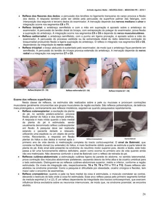 Arlindo Ugulino Netto – NEUROLOGIA – MEDICINA P6 – 2010.1


       Reflexo dos flexores dos dedos: a percussão dos tendões no ligamento transverso do carpo provoca a flexão
        dos dedos. A resposta também pode ser obtida pela percussão da superfície palmar das falanges, com
        interposição dos segundo e terceiro dedos do examinador. A inervação depende dos nervos mediano e ulnar e
        integração ocorre nos segmentos C8 a T1.
       Reflexo bicipital: o antebraço semifletido e com a mão em supinação é apoiado sobre o antebraço do
        examinador. A percussão do tendão distal do bíceps, com extraposição do polegar do examinador, prova flexão
        e supinação do antebraço. A integração ocorre nos segmentos C5 e C6 e depende do nervo musculocutâneo.
       Reflexo estilorradial: o antebraço semifletido, com o punho em ligeira pronação, é apoiado sobre a mão do
        examinador. A percussão do processo estilóide ou da extremidade distal do rádio determina contração do
        braquirradial produzindo flexão e ligeira supinação do antebraço. O reflexo é integrado nos segmentos C5 e C6,
        dependendo da integridade do nervo radial.
       Reflexo tricipital: o braço abduzido é sustentado pelo examinador, de modo que o antebraço fique pendente em
        semiflexão. A percussão do tendão do tríceps provoca extensão do antebraço. A inervação depende do nervo
        radial e a integração nos segmentos C7 e C8.




Exame dos reflexos superficiais.
       Nesta classe de reflexos, os estímulos são realizados sobre a pele ou mucosas e provocam contrações
musculares geralmente circunscritas aos grupos musculares da região excitada. São reflexos polissinápticos, de latência
mais prolongada e, contrariamente aos reflexos miotáticos, esgotam-se quando pesquisados repetidamente.
    Reflexo cutaneoplantar: a excitação da planta
        do pé, no sentido póstero-anterior, provoca
        flexão plantar do hálux e dos demais artelhos.
        A resposta é mais nítida quando o lado medial
        da planta do pé é estimulada, sendo
        usualmente denominado reflexo cutâneoplantar
        em flexão. A pesquisa deve ser realizada
        estando o paciente deitado e relaxado,
        utilizando uma espátula ou um objeto de ponta
        romba. Recordando, a resposta em flexão
        plantar do hálux e dos dedos é normal após o
        primeiro ano de vida devido à mielinização completa do tracto cortico-espinhal. O sinal de Babinski, que
        consiste na flexão dorsal (ou extensão) do hálux, é mais facilmente obtido quando se estimula a parte lateral da
        planta do pé. Este sinal está presente na síndrome do neurônio motor superior pois, devido a lesão, este trato
        passa a ter uma funcionamento elétrico deficitário, assim como ocorria no primeiro ano de vida quando ainda
        não era mielinizado. Não devemos confundir o sinal de Babinski com o reflexo de retirada do pé.
    Reflexos cutâneo-abdominais: a estimulação cutânea ligeira da parede do abdome, no sentido lateromedial,
        prova contração dos músculos abdominais ipsilaterais, causando desvio da linha alba e da cicatriz umbilical para
        o lado estimulado. Distinguem-se os reflexos cutâneo-abdominais superior, médio e inferior, conforme a região
        estimulada. Os níveis de integração são, respectivamente, T6 a T9, T9 a T11 e T11 a T12. Esses reflexos são
        abolidos na síndrome piramidal. Como a pesquisa é dificultada por obesidade, cicatriz cirúrgica e flacidez, tem
        maior valor o encontro de assimetrias.
    Reflexo cremastérico: quando a pele na face medial da coxa é estimulada, o músculo cremáster se contrai,
        elevando o testículo do lado onde a coxa foi estimulada. Esse arco reflexo passa pelo primeiro segmento lombar
        da medula espinhal (L1 e L2). É um reflexo dependente da integridade dos tractos corticoespinhais, que exercem
        influência tônica excitatória sobre os neuronios internunciais, de modo que, na síndrome piramidal, se encontra
        abolido.


                                                                                                                        26
 