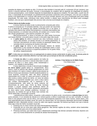 Arlindo Ugulino Netto; Luiz Gustavo Correia – OFTALMOLOGIA – MEDICINA P6 – 2010.1


posições de objetos com relação ao olho. O músculo ciliar também é inervado pelo N. oculomotor (III par craniano), que
inerva o músculo esfíncter da pupila. Contudo, a acomodação do cristalino não só depende da integridade do sistema
nervoso parassimpático, como também depende da elasticidade da cápsula do cristalino. Por esta razão, a partir dos 40
anos, a capacidade de acomodação cai gradativamente (processo conhecido como presbiopia), uma vez que a cápsula
perde a sua elasticidade e o músculo ciliar perde a sua força contrátil, fazendo com que a focalização para perto esteja
prejudicada. Por esta razão, indivíduos mais velhos tendem a afastar seus instrumentos de leitura para conseguir
focalizar, uma vez que a aproximação não provoca mais uma boa acomodação do cristalino.

Túnica interna do bulbo ocular.
        A túnica interna do bulbo ocular é praticamente composta pela retina.
A retina é composta por 10 camadas distintas, mas que podem ser resumidas
a 3, a depender da presença das células envolvidas com a via óptica: a
camada mais externa das células fotorreceptoras; a camada intermediária das
células bipolares; e a camada mais profunda, em contato com o humor vítreo,
das células ganglionares, cujos axônios compõem o N. óptico.
        Macroscopicamente, a retina é formada por duas partes funcionais
com locais distintos: uma parte óptica (visual) e uma parte cega (não-visual).
     A parte óptica da retina é sensível aos raios luminosos visuais e
        possui dois estratos: um estrato nervoso e um estrato pigmentoso. O
        chamado descolamento da retina consiste na separação destas duas
        camadas devido à presença de líquidos entre elas.
     A parte cega da retina é uma continuação anterior do estrato
        pigmentoso e uma camada de células de sustentação sobre o corpo
        ciliar (parte ciliar da retina) e a superfície posterior da íris (parte irídica
        da retina), respectivamente.

OBS5: A retina deve ser entendida como um prolongamento do sistema nervoso central dentro do globo ocular. As demais partes do
olho apresentam origem embrionária diferente. É por esta razão que as doenças da retina são consideradas graves.

         O fundo do olho é a parte posterior do bulbo do
olho, onde podemos encontrar a mácula lútea (bem no pólo
posterior do olho) e o disco óptico (mais medial/nasal e
superior, com relação à mácula lútea).
         A área deprimida e circular é denominada de disco
do nervo óptico (papila óptica ou, simplesmente, disco
óptico), onde os axônios das células ganglionares se unem
para constituir o N. óptico e deixar o globo ocular através da
lâmina crivosa (que atravessa o forame escleral posterior ou
canal escleral), conduzindo, além das fibras sensitivas
relacionadas com a visão, os vasos que entram no bulbo do
olho (como a artéria central da retina, um ramo da artéria
oftálmica). É importante ressaltar que, como o disco óptico
não contém fotorreceptores, ele é insensível à luz.
Consequentemente, esta parte da retina costuma ser
denominada de ponto cego. Como as fibras nervosas
tendem a ocupar espaços mais periféricos dentro de
bainhas, indivíduos normais podem apresentar escavações
do disco óptico como variação anatômica. Contudo, no
glaucoma, na medida em que as fibras mais centrais vão
sendo destruídas, a escavação aumenta.
         Lateralmente ao disco óptico, ocupando o pólo posterior do globo ocular, encontramos a mácula lútea (do latim,
ponto amarelo). A cor amarela da mácula só é visível quando a retina é examinada com luz sem vermelho. A mácula
lútea é uma pequena área oval da retina, com cones fotorreceptores especiais e em maior número, sendo assim, uma
área especializada para acuidade visual. No centro da mácula lútea, há uma pequena depressão denominada de fóvea
central (do latim, depressão central), a área de visão mais aguda e apurada. Os motivos que fazem com que a mácula
lútea seja a área de melhor acuidade visual são:
     Presença de um maior número de cones fotorreceptores especiais.
     Proporção de um cone para cada célula ganglionar. Nas demais regiões da retina, existem vários bastonetes
         convergindo para uma única célula bipolar.
     Presença da fóvea, que nada mais é que o afastamento centrífugo das demais camadas retinianas, fazendo com
         que a luz incida diretamente na camada de células fotorreceptoras.


                                                                                                                                 4
 