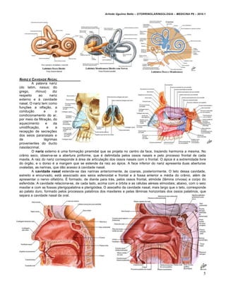 Arlindo Ugulino Netto – OTORRINOLARINGOLOGIA – MEDICINA P6 – 2010.1




NARIZ E CAVIDADE NASAL
        A palavra nariz
(do latim, nasus; do
grego,     rhinus)     diz
respeito     ao      nariz
externo e à cavidade
nasal. O nariz tem como
funções a olfação, a
condução         e       o
condicionamento do ar,
por meio da filtração, do
aquecimento       e    da
umidificação,      e     a
recepção de secreções
dos seios paranasais e
de               lágrimas
provenientes do ducto
nasolacrimal.
        O nariz externo é uma formação piramidal que se projeta no centro da face, trazendo harmonia a mesma. No
crânio seco, observa-se a abertura piriforme, que é delimitada pelos ossos nasais e pelo processo frontal de cada
maxila. A raiz do nariz corresponde à área de articulação dos ossos nasais com o frontal. O ápice é a extremidade livre
do órgão, e o dorso é a margem que se estende da raiz ao ápice. A face inferior do nariz apresenta duas aberturas
ovaladas, as narinas, que dão acesso à cavidade nasal.
        A cavidade nasal estende-se das narinas anteriormente, às coanas, posteriormente. O teto dessa cavidade,
estreito e encurvado, está associado aos seios esfenoidal e frontal e à fossa anterior e média do crânio, além de
apresentar o nervo olfatório. É formado, de diante para trás, pelos ossos frontal, etmóide (lâmina crivosa) e corpo do
esfenóide. A cavidade relaciona-se, de cada lado, acima com a órbita e as células aéreas etmoidais; abaixo, com o seio
maxilar e com as fossas pterigopalatina e pterigóidea. O assoalho da cavidade nasal, mais largo que o teto, corresponde
ao palato duro, formado pelos processos palatinos dos maxilares e pelas lâminas horizontais dos ossos palatinos, que
separa a cavidade nasal da oral.




                                                                                                                       5
 