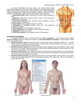 Arlindo Ugulino Netto – SEMIOLOGIA – MEDICINA P5 – 2009.2


        As regi€es delimitadas por esses planos s•o: Hipocondr‚aca direita,
Hipocondr‚aca esquerda, Flanco direito, Flanco esquerdo, Fossa il‚aca direita (regi•o
inguinal direita), Fossa il‚aca esquerda (regi•o inguinal esquerda), Regi•o Epigƒstrica,
Umbilical e Hipogƒstrica. Posteriormente, o abdome „ dividido, a partir de uma linha
mediana, em duas regi€es: regi•o Lombar Direita e regi•o Lombar Esquerda.
        1. Hipocôndrio Direito: f‚gado, ves‚cula biliar, rim direito, flexura hepƒtica do
        c…lon.
        2. Epigástrio: f‚gado (lobo esquerdo), piloro, duodeno, c…lon transverso e
        cabe†a e corpo do p‡ncreas.
        3. Hipocôndrio Esquerdo: ba†o, estˆmago, flexura espl‰nica do c…lon,
        p‡ncreas (cauda), rim esquerdo
        4. Flanco Direito: c…lon ascendente, jejuno e rim direito
        5. Mesogástrio ou umbilical: duodeno, jejuno, ‚leo, aorta abdominal,
        mesent„rio, linfonodos
        6. Flanco Esquerdo: c…lon descendente, jejuno, ‚leo.
        7. Fossa Ilíaca Direita: ceco, ap‰ndice, ovƒrio e tuba uterina direita
        8. Hipogástrio: bexiga, Štero, ureter.
        9. Fossa Ilíaca Esquerda: c…lon sigm…ide, ovƒrio e tuba esquerda.


QUADRANTES ABDOMINAIS
        A cavidade abdominal pode ser dividida tamb„m em quatro quadrantes, a partir de planos como o plano
mediano (vertical), seguindo o trajeto da linha alba; e o plano transumbilical (horizontal), ao n‚vel do disco IV entre
L3 e L4. Os quadrantes s•o:
     Quadrante superior direito: lobo direto do f‚gado, vesicular biliar, piloro do estˆmago, duodeno (1‹ – 3‹ parte),
        cabe†a do p‡ncreas, gl‡ndula supra-renal direita, rim direito, flexura hepƒtica direita do colo, parte superior do
        colo ascendente, metade direita do colo transverso.
     Quadrante superior esquerdo: lobo esquerdo do f‚gado, ba†o, estomago, jejuno e ‚leo proximal, corpo e cauda
        do p‡ncreas, rim esquerdo, gl‡ndula supra-renal, flexura c…lica (espl‰nica) esquerda, metade esquerda do colo
        transverso, parte superior do colo descendente.
     Quadrante inferior direito: ceco, ap‰ndice vermiforme, maior parte do ‚leo, parte inferior do colo ascendente,
        ovƒrio direito, tuba uterina direita, ureter direito (parte abdominal) fun‚culo espermƒtico direito (parte abdominal),
        Štero (se aumentado) e bexiga (se muito cheia).
     Quadrante inferior esquerdo: colo sigm…ide, parte inferior do colo descendente, ovƒrio esquerdo, tuba uterina,
        ureter esquerdo (parte abdominal) fun‚culo espermƒtico esquerdo (parte abdominal), Štero (se aumentado) e
        bexiga (se muito cheia).




                                                                                                                             2
 