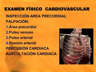 EXAMEN FÍSICO CARDIOVASCULAR
INSPECCIÓN AREA PRECORDIAL
PALPACIÓN:
1.Área precordial
2.Pulso venoso
3.Pulso arterial
4.Presión arterial
PERCUSIÓN CARDIACA
AUSCULTACIÓN CARDIACA
 
