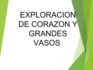 EXPLORACION
DE CORAZON Y
GRANDES
VASOS
 
