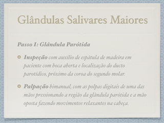 Glândulas Salivares Maiores
Passo I: Glândula Parótida
Inspeção com auxílio de espátula de madeira em
paciente com boca aberta e localização do ducto
parotídico, próximo da coroa do segundo molar.
Palpação bimanual, com as polpas digitais de uma das
mãos pressionando a região da glândula parótida e a mão
oposta fazendo movimentos relaxantes na cabeça.
 