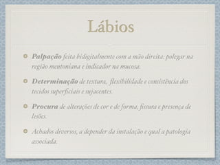 Lábios
Palpação feita bidigitalmente com a mão direita: polegar na
região mentoniana e indicador na mucosa.
Determinação de textura, ﬂexibilidade e consistência dos
tecidos superﬁciais e sujacentes.
Procura de alterações de cor e de forma, ﬁssura e presença de
lesões.
Achados diversos, a depender da instalação e qual a patologia
associada.
 