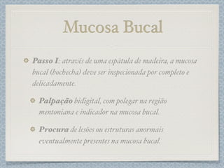Mucosa Bucal
Passo I: através de uma espátula de madeira, a mucosa
bucal (bochecha) deve ser inspecionada por completo e
delicadamente.
Palpação bidigital, com polegar na região
mentoniana e indicador na mucosa bucal.
Procura de lesões ou estruturas anormais
eventualmente presentes na mucosa bucal.
 