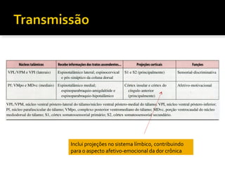 Inclui projeções no sistema límbico, contribuindo
para o aspecto afetivo-emocional da dor crônica
 