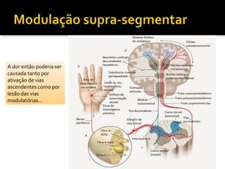 A dor então poderia ser
causada tanto por
ativação de vias
ascendentes como por
lesão das vias
modulatórias...
 
