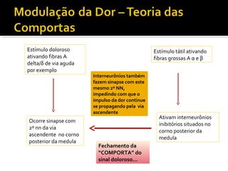 Estímulo doloroso
ativando fibras A
delta/δ de via aguda
por exemplo
Estímulo tátil ativando
fibras grossas A α e β
Ativam interneurônios
inibitórios situados no
corno posterior da
medula
Ocorre sinapse com
2º nn da via
ascendente no corno
posterior da medula
Interneurônios também
fazem sinapse com este
mesmo 2º NN,
impedindo com que o
impulso da dor continue
se propagando pela via
ascendente
Fechamento da
“COMPORTA” do
sinal doloroso...
 