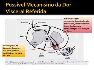 Via cutânea tem
representação cortical mais
exuberante, recebendo mais
importância na sua
caracterização e localização
da dor...
Convergência de
impulsos dolorosos
das 2 vias para nn
nociceptivos comuns
no CPM
 