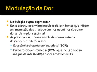  Modulação supra-segmentar
 Estas estruturas enviam impulsos descendentes que inibem
a transmissão dos sinais de dor nos neurônios do corno
dorsal da medula espinhal;
 As principais estruturas envolvidas nesse sistema
descendente inibitório são:
 Substância cinzenta periaquedutal (SCP);
 Bulbo rostroventromedial (RVM) que inclui o núcleo
magno da rafe (NMR) e o locus coeruleus (LC).
 