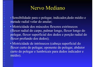 Nervo Mediano
• • Sensibilidade para o polegar, indicador,dedo médio e
metade radial volar do anular;
• • Motricidade dos músculos flexores extrínsecos
(flexor radial do carpo, palmar longo, flexor longo do
polegar, flexor superficial dos dedos e porção radial do
flexor profundo dos dedos);
• • Motricidade de intrínsecos (cabeça superficial do
flexor curto do polegar, oponente do polegar, abdutor
curto do polegar e lumbricais para dedos indicador e
médio).
 