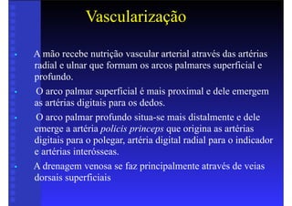Vascularização
• A mão recebe nutrição vascular arterial através das artérias
radial e ulnar que formam os arcos palmares superficial e
profundo.
• O arco palmar superficial é mais proximal e dele emergem
as artérias digitais para os dedos.
• O arco palmar profundo situa-se mais distalmente e dele
emerge a artéria policis princeps que origina as artérias
digitais para o polegar, artéria digital radial para o indicador
e artérias interósseas.
• A drenagem venosa se faz principalmente através de veias
dorsais superficiais
 