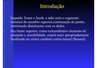 Introdução
• Segundo Testut e Jacob, a mão seria o segmento
terminal do membro superior,continuação do punho,
terminando distalmente com os dedos.
• Seu limite superior, como extraordinário elemento de
preensão e sensibilidade, estaria mais apropriadamente
localizado no córtex cerebral contra-lateral (Bunnel).
 