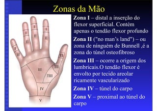 Zonas da Mão
• Zona I – distal a inserção do
flexor superficial. Contém
apenas o tendão flexor profundo
• Zona II ("no man’s land") – ou
zona de nínguém de Bunnell ,é a
zona do túnel osteofibroso
• Zona III – ocorre a origem dos
lumbricais.O tendão flexor é
envolto por tecido areolar
ricamente vascularizado
• Zona IV – túnel do carpo
• Zona V – proximal ao túnel do
carpo
 