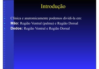 Introdução
• Clínica e anatomicamente podemos dividi-la em:
• Mão: Região Ventral (palma) e Região Dorsal
• Dedos: Região Ventral e Região Dorsal
 